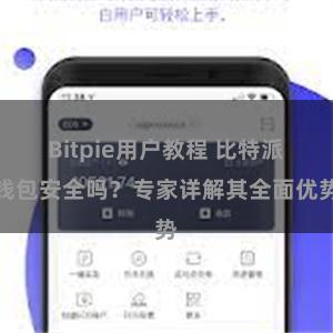 Bitpie用户教程 比特派钱包安全吗？专家详解其全面优势