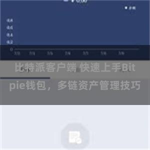 比特派客户端 快速上手Bitpie钱包，多链资产管理技巧