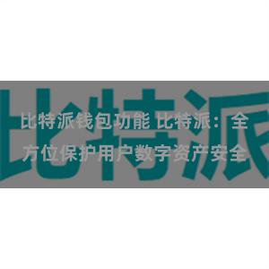 比特派钱包功能 比特派：全方位保护用户数字资产安全