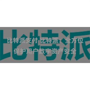 比特派支付 比特派：全方位保护用户数字资产安全