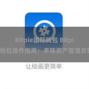 Bitpie国际钱包 Bitpie钱包操作指南：多链资产管理攻略