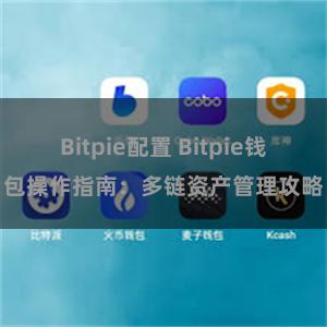 Bitpie配置 Bitpie钱包操作指南：多链资产管理攻略