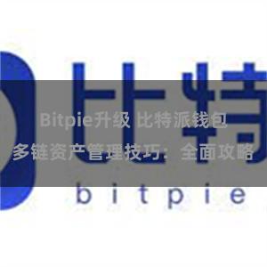 Bitpie升级 比特派钱包多链资产管理技巧：全面攻略