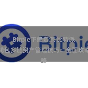 Bitpie下载资源 比特派钱包多链资产管理技巧：全面攻略