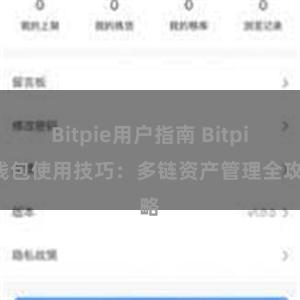 Bitpie用户指南 Bitpie钱包使用技巧：多链资产管理全攻略