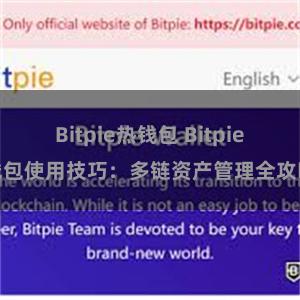 Bitpie热钱包 Bitpie钱包使用技巧：多链资产管理全攻略