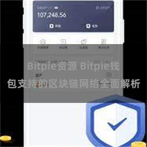 Bitpie资源 Bitpie钱包支持的区块链网络全面解析