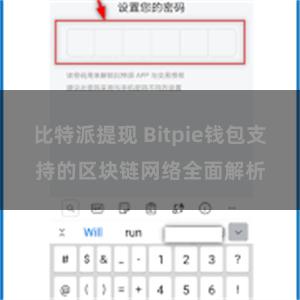 比特派提现 Bitpie钱包支持的区块链网络全面解析