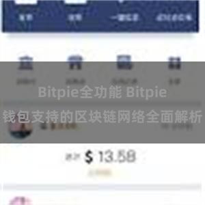 Bitpie全功能 Bitpie钱包支持的区块链网络全面解析