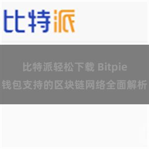 比特派轻松下载 Bitpie钱包支持的区块链网络全面解析