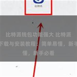 比特派钱包功能强大 比特派钱包下载与安装教程：简单易懂，新手必看