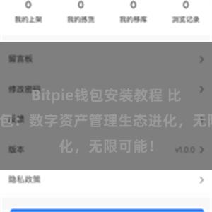 Bitpie钱包安装教程 比特派钱包：数字资产管理生态进化，无限可能！