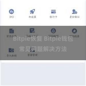 Bitpie恢复 Bitpie钱包常见问题解决方法