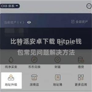 比特派安卓下载 Bitpie钱包常见问题解决方法