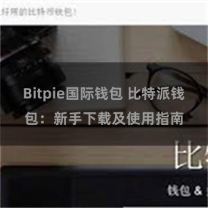 Bitpie国际钱包 比特派钱包：新手下载及使用指南