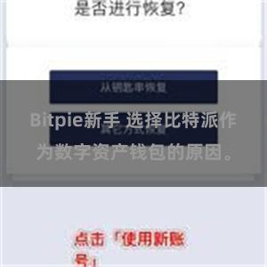 Bitpie新手 选择比特派作为数字资产钱包的原因。