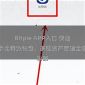 Bitpie APP入口 快速上手比特派钱包，多链资产管理全攻略