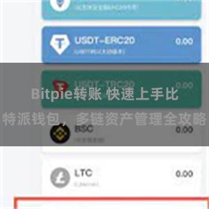 Bitpie转账 快速上手比特派钱包，多链资产管理全攻略