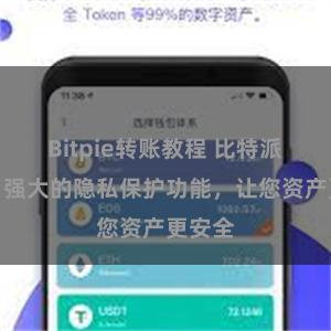 Bitpie转账教程 比特派钱包：强大的隐私保护功能，让您资产更安全