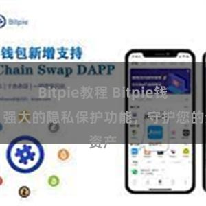 Bitpie教程 Bitpie钱包：强大的隐私保护功能，守护您的资产