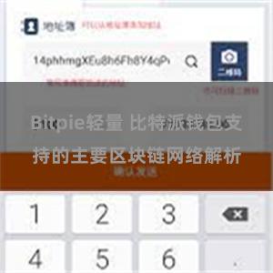 Bitpie轻量 比特派钱包支持的主要区块链网络解析