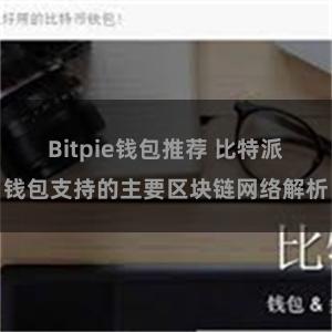 Bitpie钱包推荐 比特派钱包支持的主要区块链网络解析