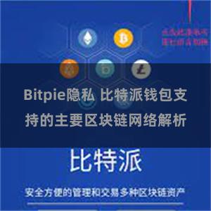 Bitpie隐私 比特派钱包支持的主要区块链网络解析