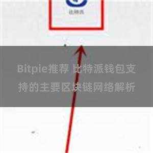 Bitpie推荐 比特派钱包支持的主要区块链网络解析