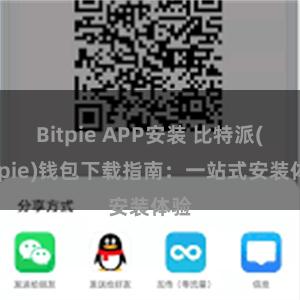 Bitpie APP安装 比特派(Bitpie)钱包下载指南：一站式安装体验