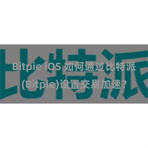 Bitpie iOS 如何通过比特派(Bitpie)设置交易加速？