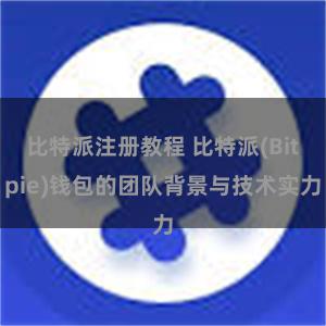 比特派注册教程 比特派(Bitpie)钱包的团队背景与技术实力