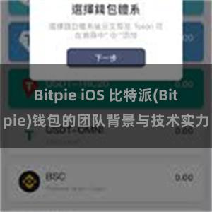 Bitpie iOS 比特派(Bitpie)钱包的团队背景与技术实力