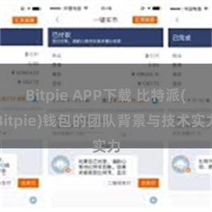 Bitpie APP下载 比特派(Bitpie)钱包的团队背景与技术实力