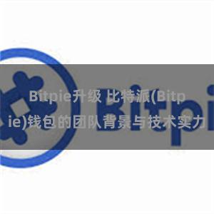 Bitpie升级 比特派(Bitpie)钱包的团队背景与技术实力