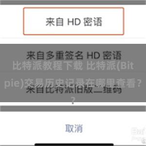 比特派教程下载 比特派(Bitpie)交易历史记录在哪里查看？