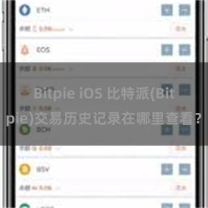 Bitpie iOS 比特派(Bitpie)交易历史记录在哪里查看？