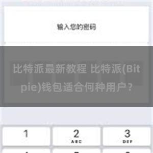 比特派最新教程 比特派(Bitpie)钱包适合何种用户？