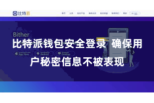 比特派钱包安全登录  确保用户秘密信息不被表现