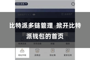 比特派多链管理  掀开比特派钱包的首页
