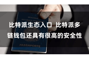 比特派生态入口  比特派多链钱包还具有很高的安全性