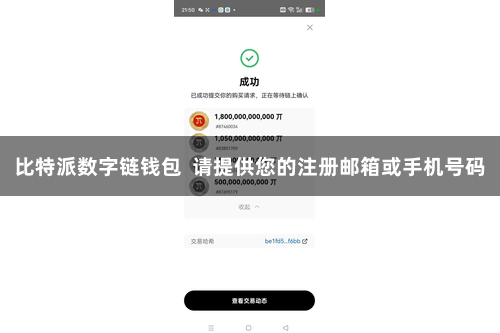 比特派数字链钱包  请提供您的注册邮箱或手机号码